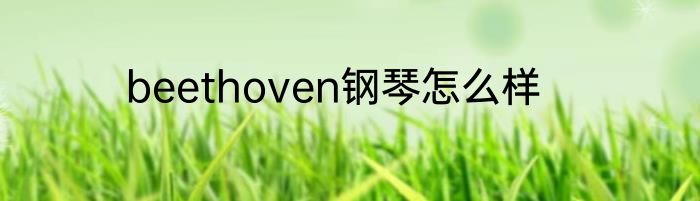 beethoven钢琴怎么样