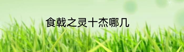食戟之灵十杰哪几