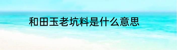 和田玉老坑料是什么意思