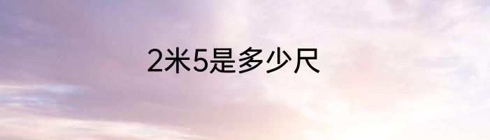 2米5是多少尺