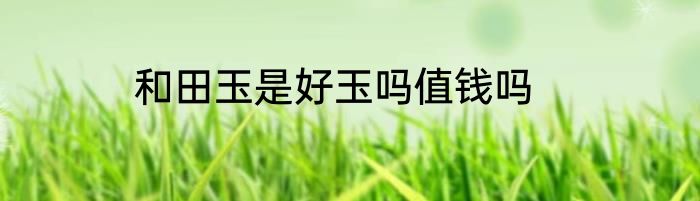 和田玉是好玉吗值钱吗