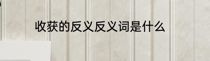 收获的反义反义词是什么