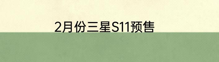 2月份三星S11预售