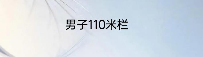 男子110米栏