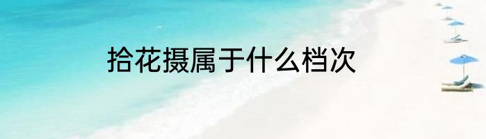拾花摄属于什么档次