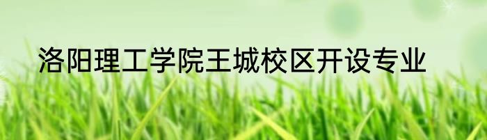 洛阳理工学院王城校区开设专业
