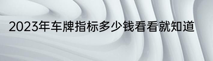 2023年车牌指标多少钱看看就知道