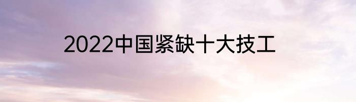 2022中国紧缺十大技工