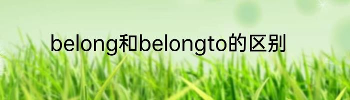 belong和belongto的区别
