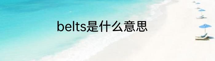 belts是什么意思