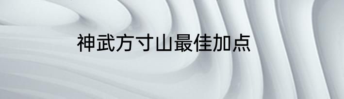 神武方寸山最佳加点