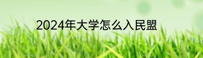 2024年大学怎么入民盟