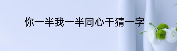 你一半我一半同心干猜一字