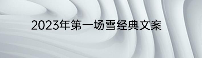 2023年第一场雪经典文案