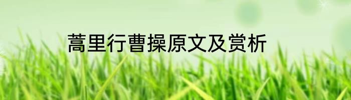 蒿里行曹操原文及赏析