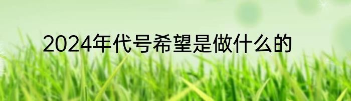 2024年代号希望是做什么的
