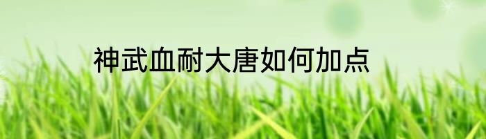 神武血耐大唐如何加点