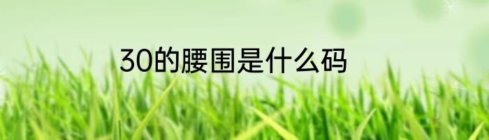 30的腰围是什么码