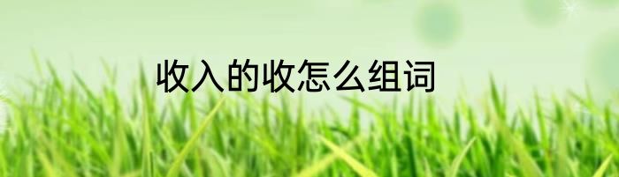 收入的收怎么组词