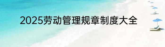 2025劳动管理规章制度大全