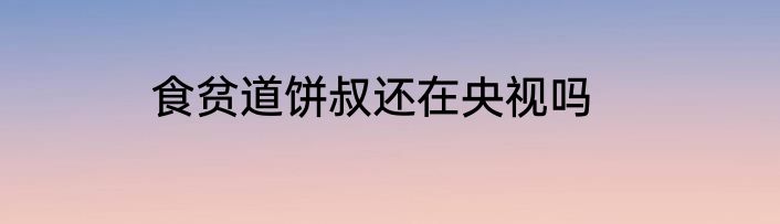 食贫道饼叔还在央视吗