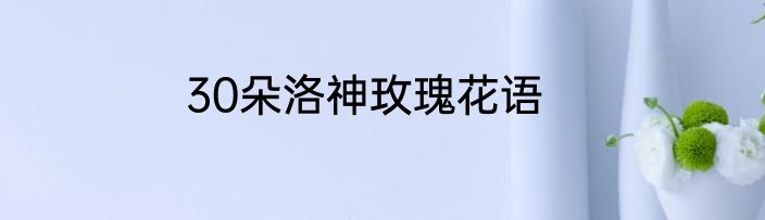 30朵洛神玫瑰花语