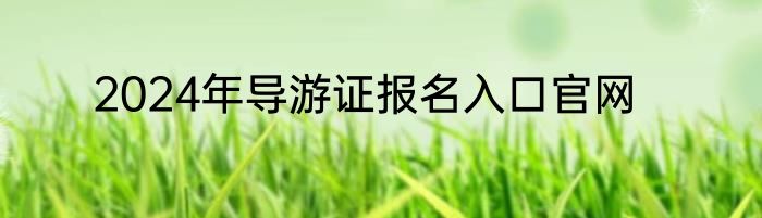 2024年导游证报名入口官网