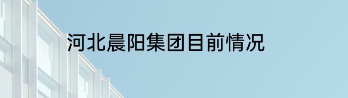 河北晨阳集团目前情况