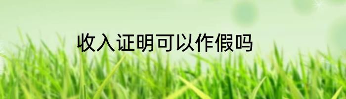 收入证明可以作假吗