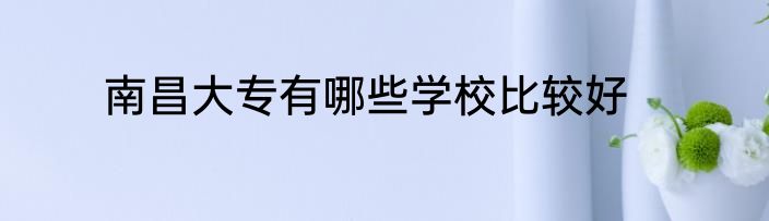 南昌大专有哪些学校比较好