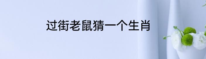 过街老鼠猜一个生肖
