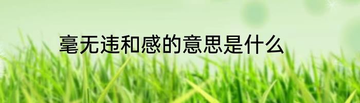 毫无违和感的意思是什么