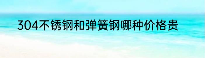 304不锈钢和弹簧钢哪种价格贵
