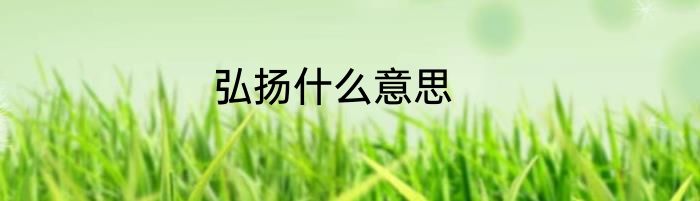 弘扬什么意思