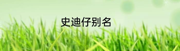 史迪仔别名
