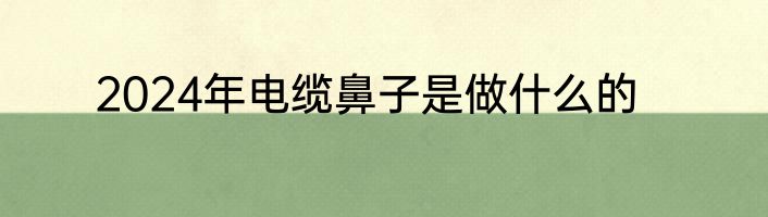 2024年电缆鼻子是做什么的