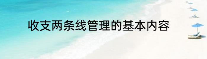 收支两条线管理的基本内容