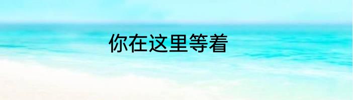 你在这里等着