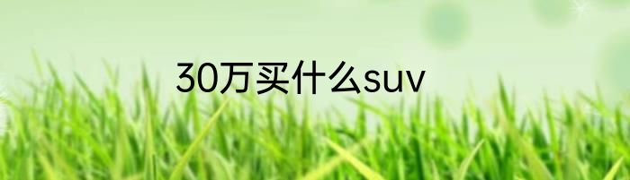 30万买什么suv