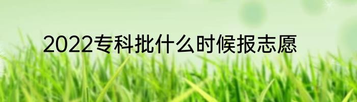 2022专科批什么时候报志愿