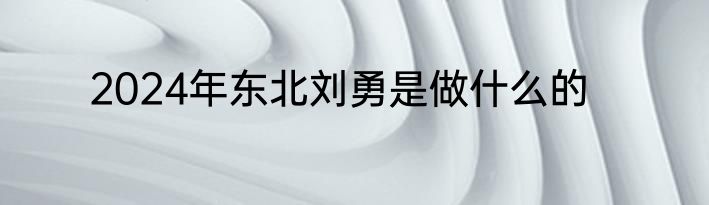 2024年东北刘勇是做什么的