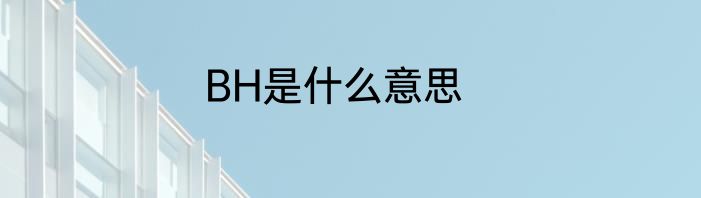 BH是什么意思