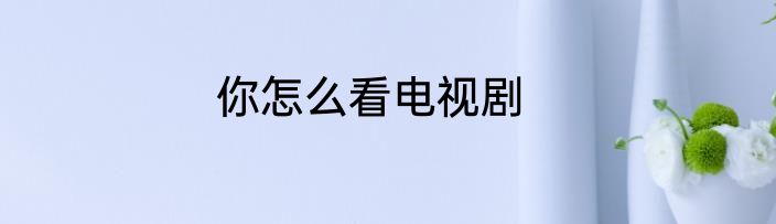 你怎么看电视剧