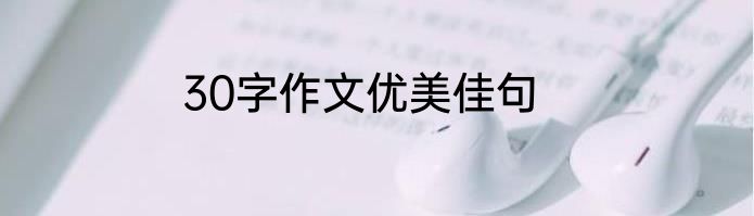 30字作文优美佳句