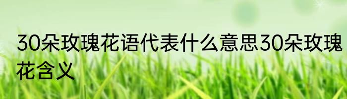 30朵玫瑰花语代表什么意思30朵玫瑰花含义