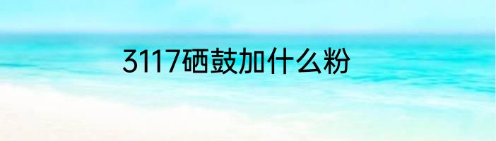 3117硒鼓加什么粉