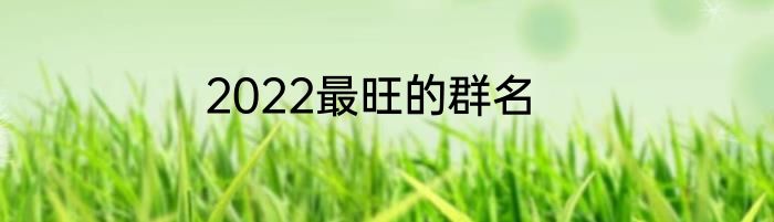 2022最旺的群名
