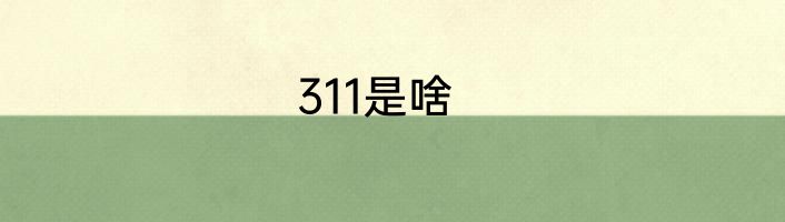311是啥