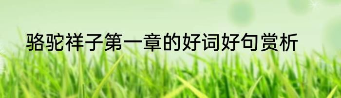 骆驼祥子第一章的好词好句赏析