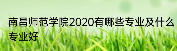南昌师范学院2020有哪些专业及什么专业好